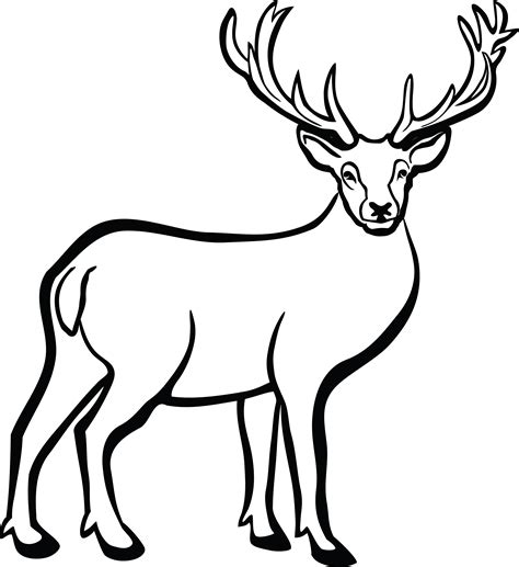 Free Printable Deer Pictures